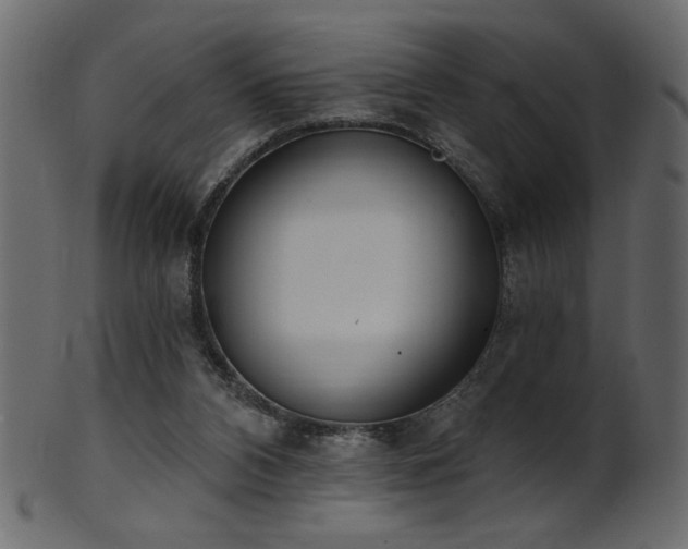 X0000101980112200807181134