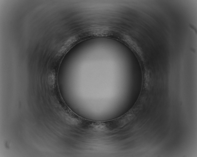 X0000101980113200807181134