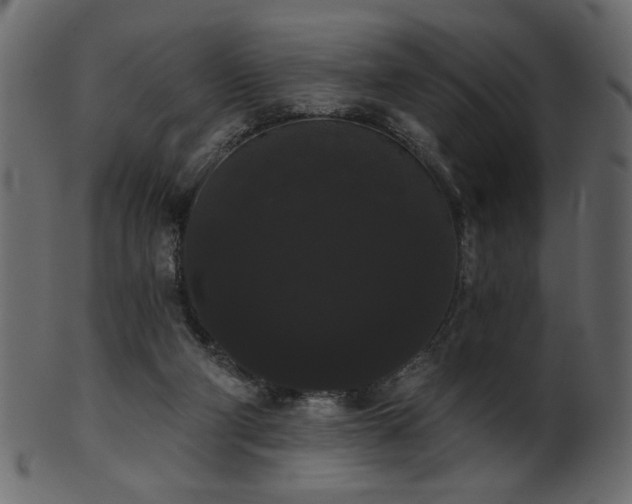 X0000101980114200807181134