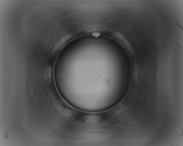 X0000101980115200807181134