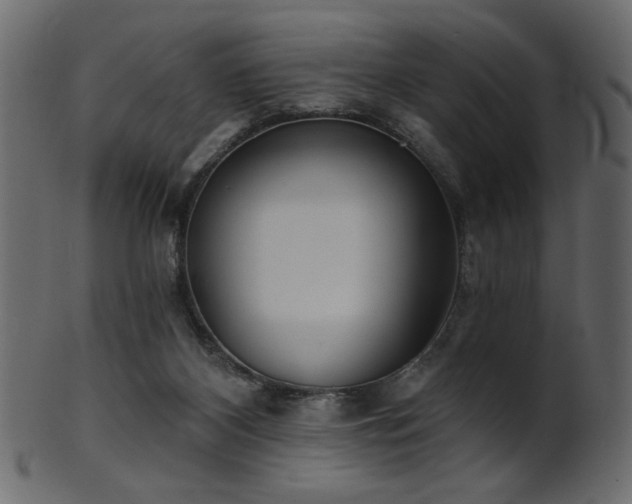 X0000101980116200807181134