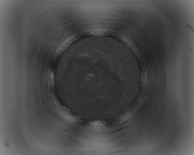 X0000101980117200807181134