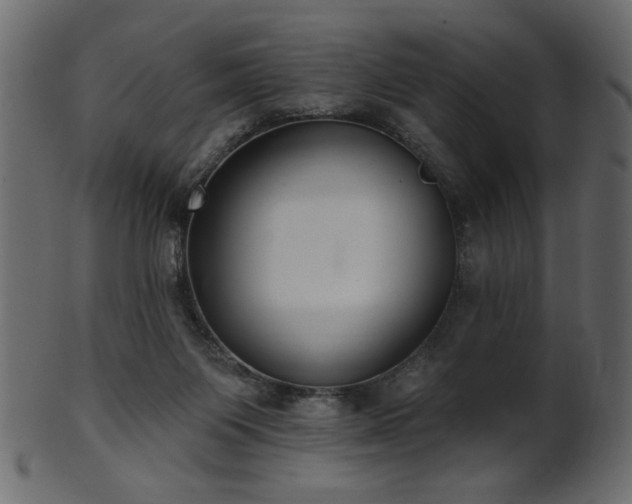 X0000101980119200807181134