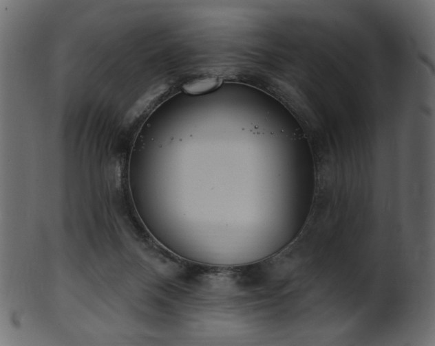 X0000101980120200807181134