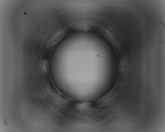 X0000101980122200807181134