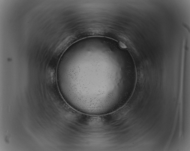 X0000101980123200807181134