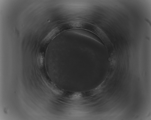 X0000101980124200807181134