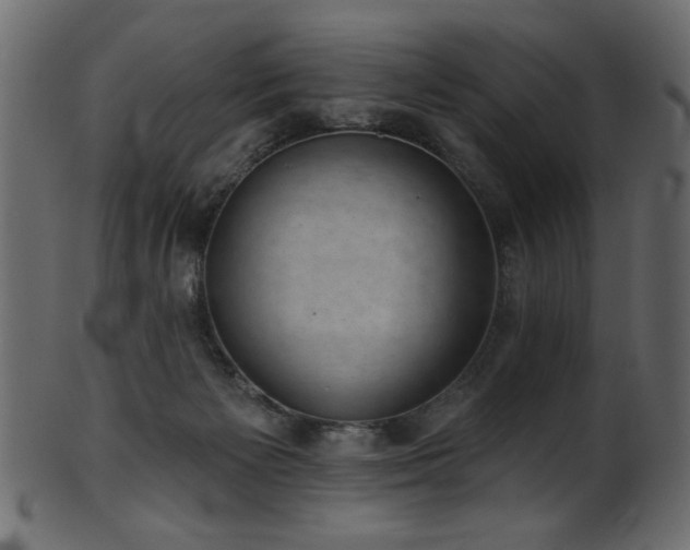 X0000101980125200807181134