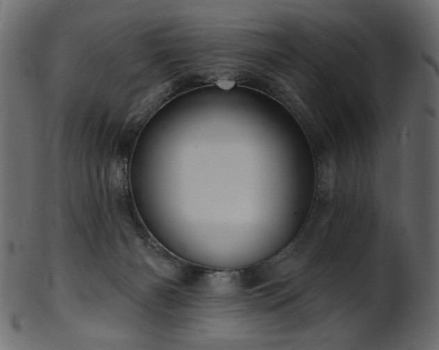 X0000101980126200807181134