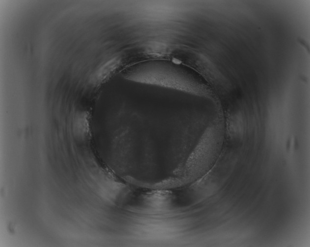 X0000101980128200807181134