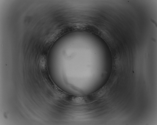 X0000101980129200807181134