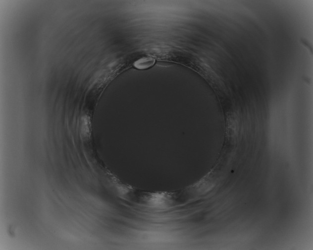 X0000101980130200807181134