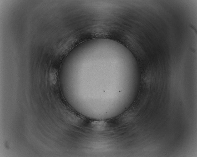 X0000101980133200807181134