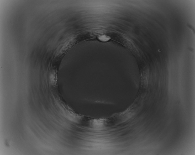 X0000101980134200807181134