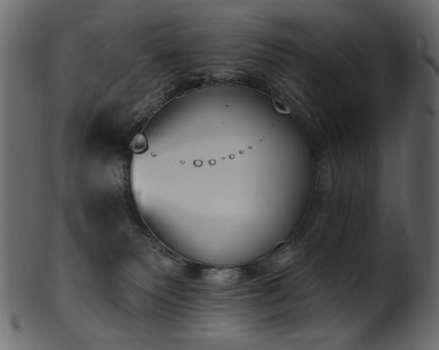 X0000101980135200807181133