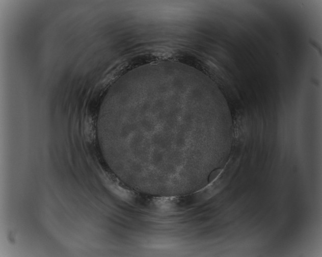 X0000101980136200807181133