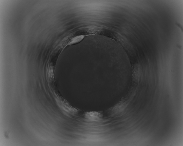 X0000101980137200807181133