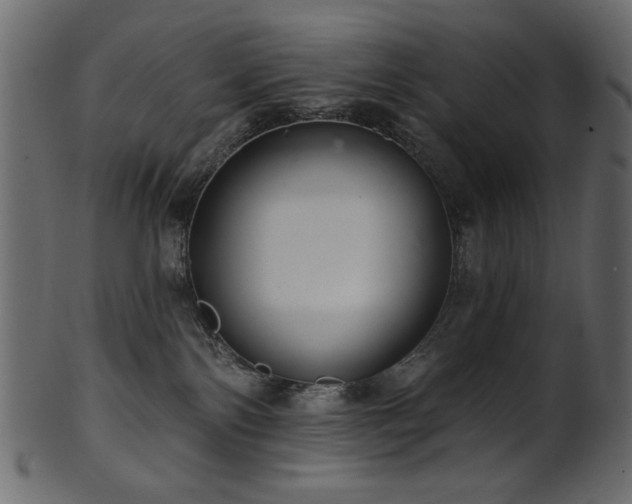 X0000101980138200807181133