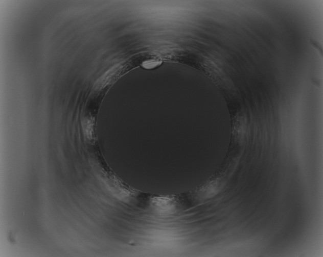 X0000101980139200807181133