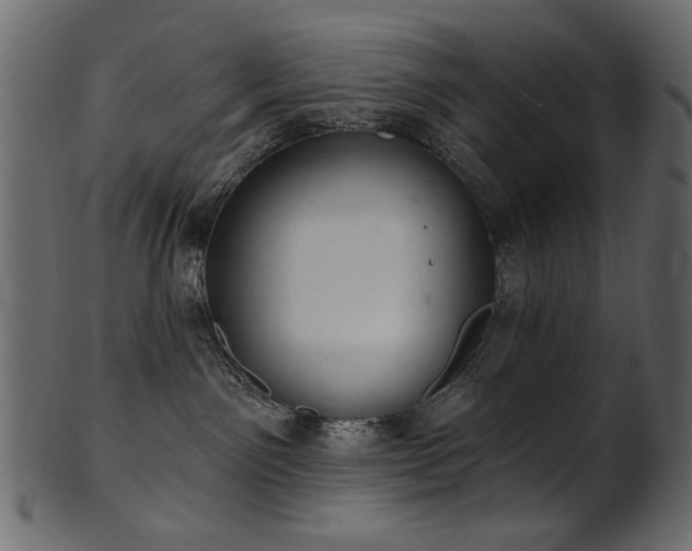 X0000101980141200807181133