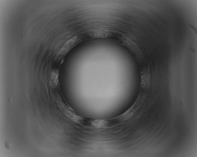 X0000101980142200807181133