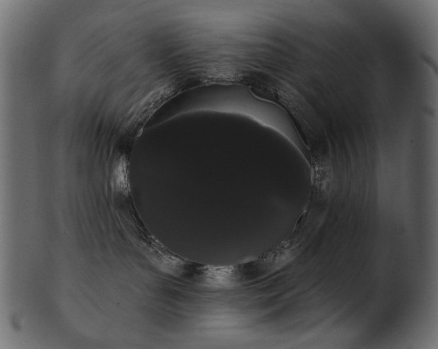 X0000101980143200807181133