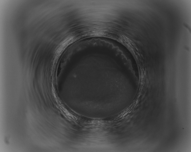 X0000101980145200807181133