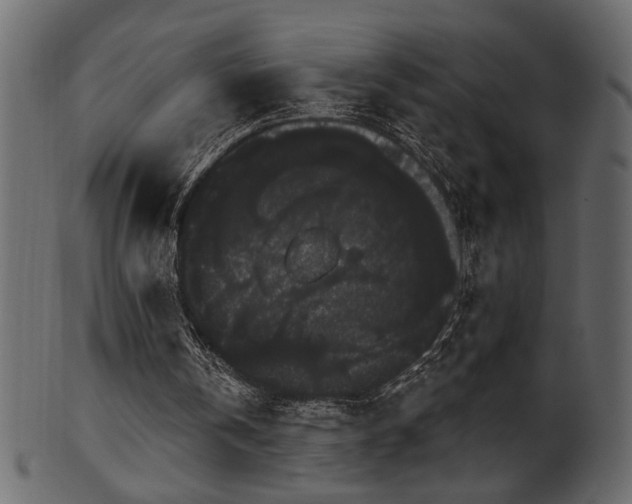 X0000101980146200807181133