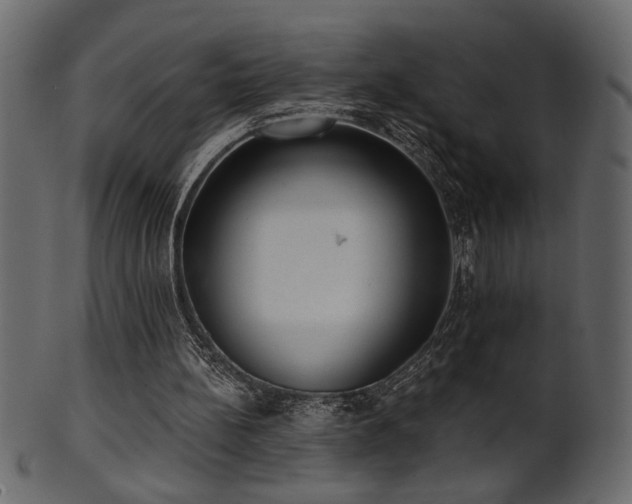 X0000101980148200807181133