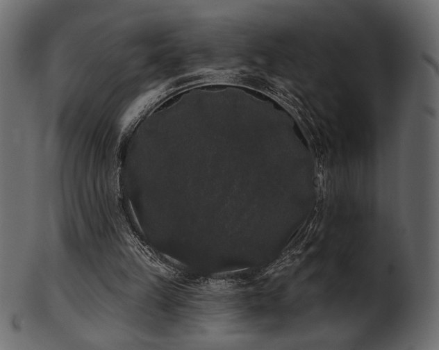 X0000101980149200807181133