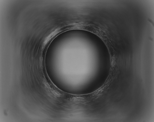 X0000101980150200807181133