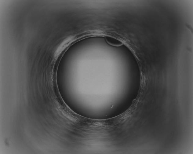 X0000101980151200807181133