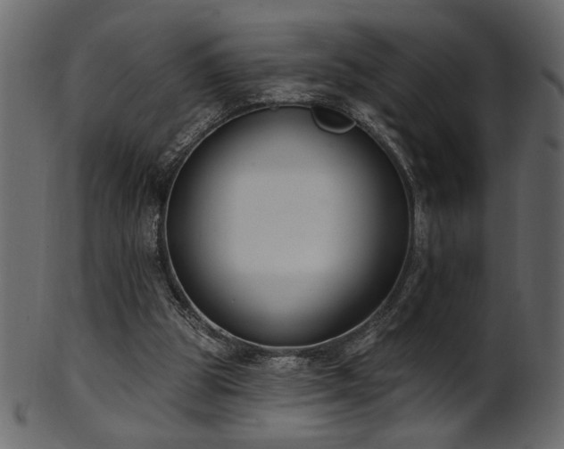 X0000101980153200807181133