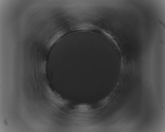 X0000101980154200807181133