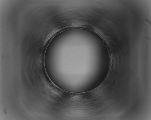 X0000101980155200807181133