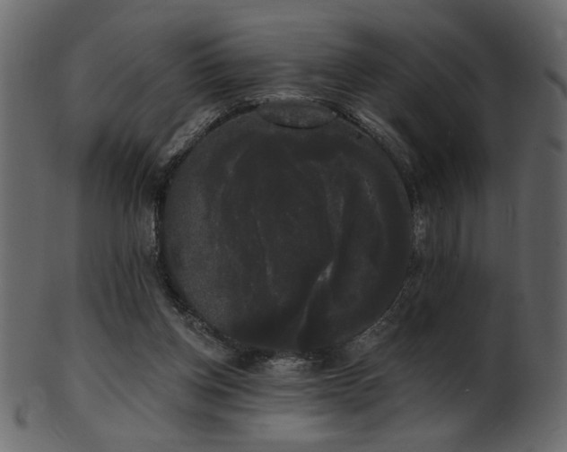 X0000101980158200807181133