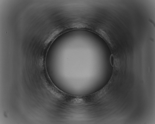 X0000101980159200807181133