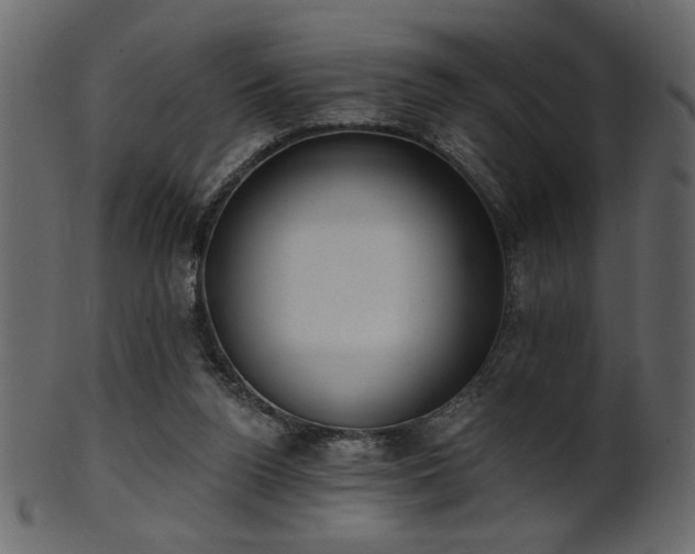 X0000101980160200807181133