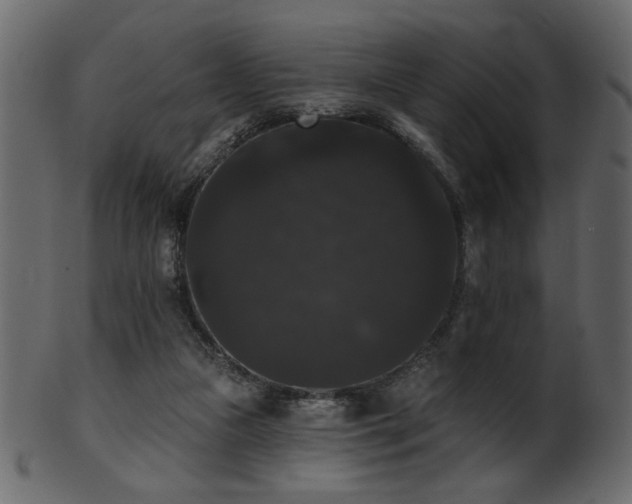 X0000101980161200807181133