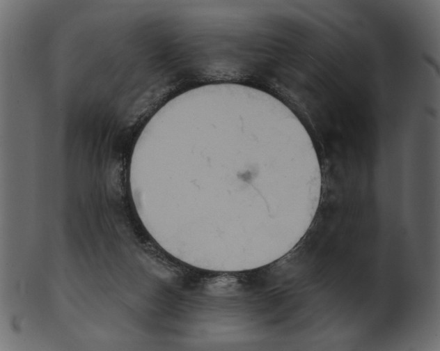 X0000101980162200807181133