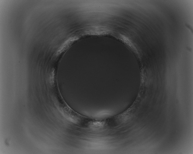 X0000101980163200807181133