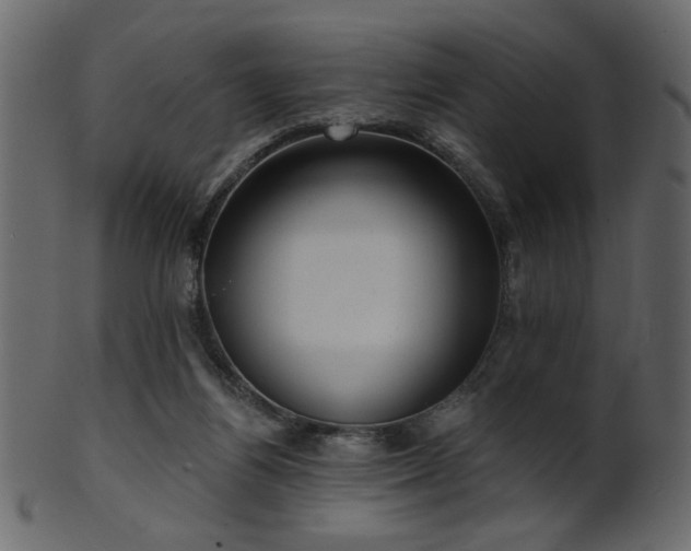 X0000101980164200807181133