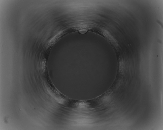 X0000101980165200807181133