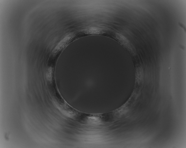 X0000101980167200807181133