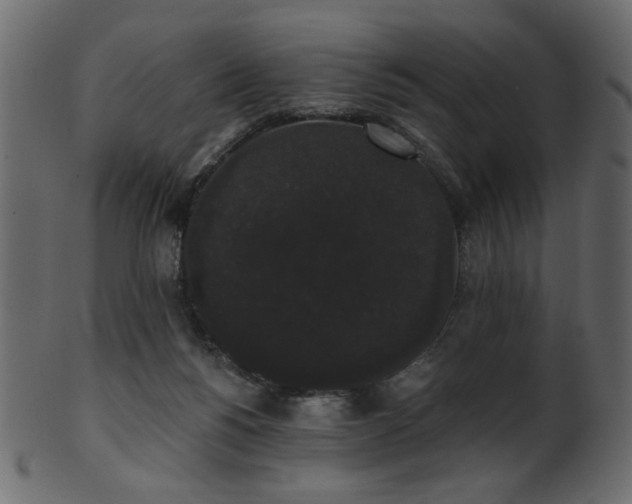 X0000101980168200807181133