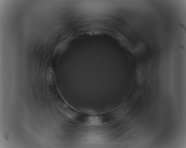 X0000101980169200807181133