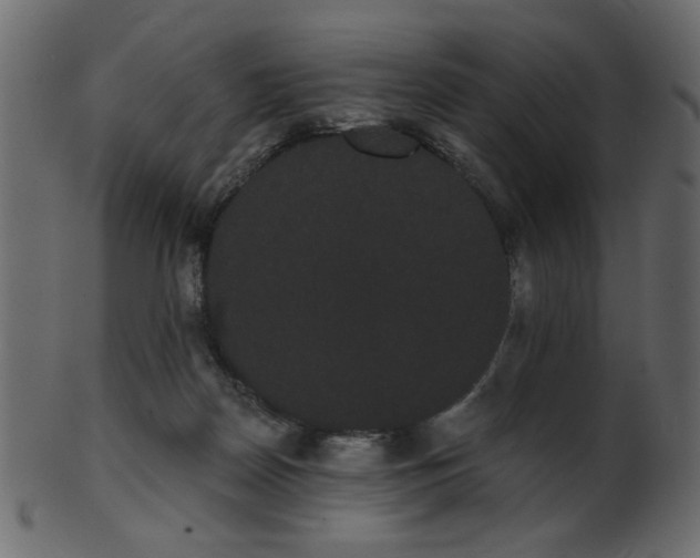 X0000101980170200807181133