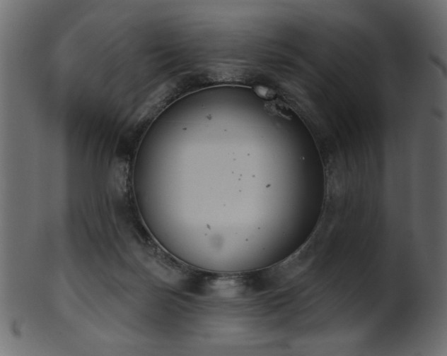 X0000101980171200807181133