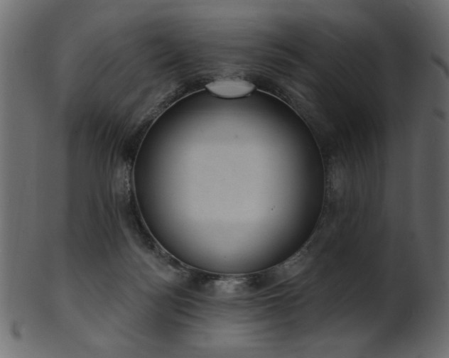 X0000101980172200807181133