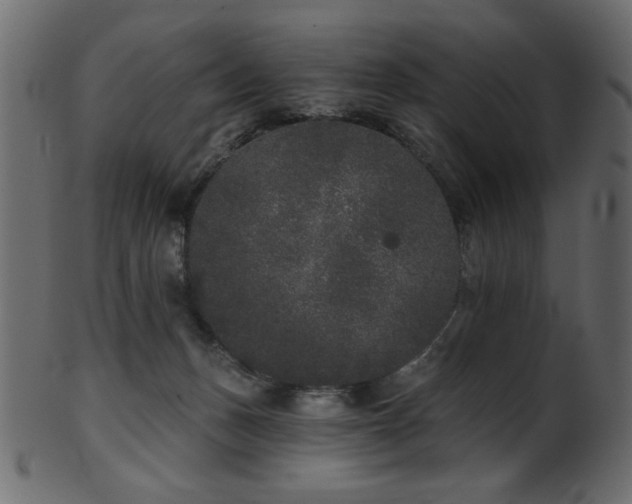 X0000101980175200807181133